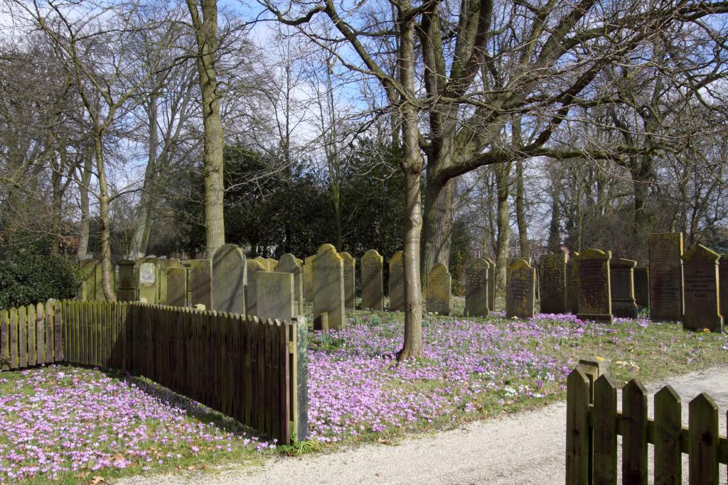 Informatie Begraafplaatsen Haarlem